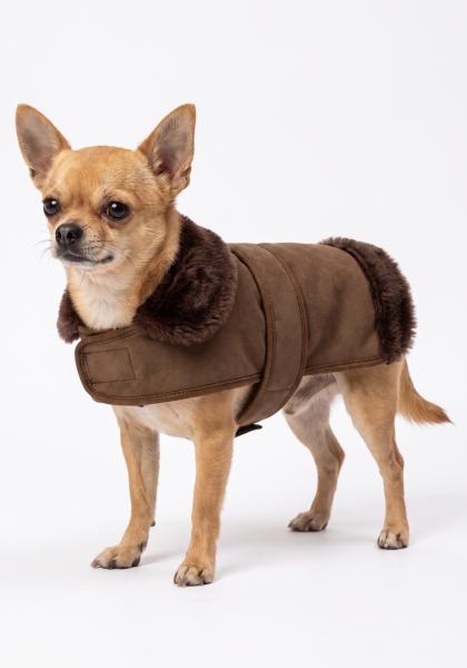 Lammfell Hundemantel mit Klettverschluss Modell 2