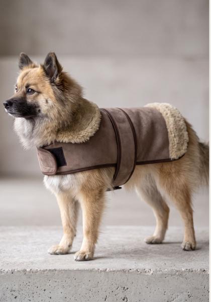 Lammfell Hundemantel mit Klettverschluss Modell 10