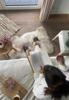 Preview: Lambskin Slippers - ALASKA DARK BROWN