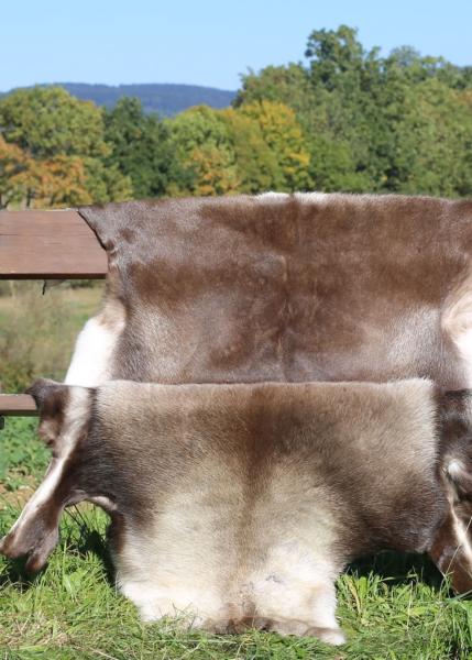 Reindeer hide - real hides from Finland - wonderful brown colors