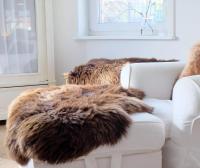 Vorschau: Lammfell Grizzly