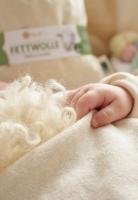 Preview: BIO Organic healing wool 100g