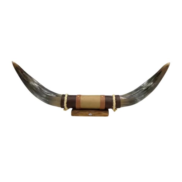 Bullenhorn Wandobjekt Modell 4 - Naturhorn Einzelstück mit Leder & Holzhalterung