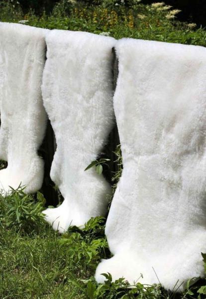 Lammfell Weiß Kurzhaar Wollhöhe 3-4 cm