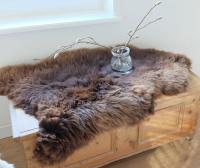 Vorschau: Lammfell Grizzly