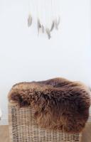 Vorschau: Lammfell Grizzly